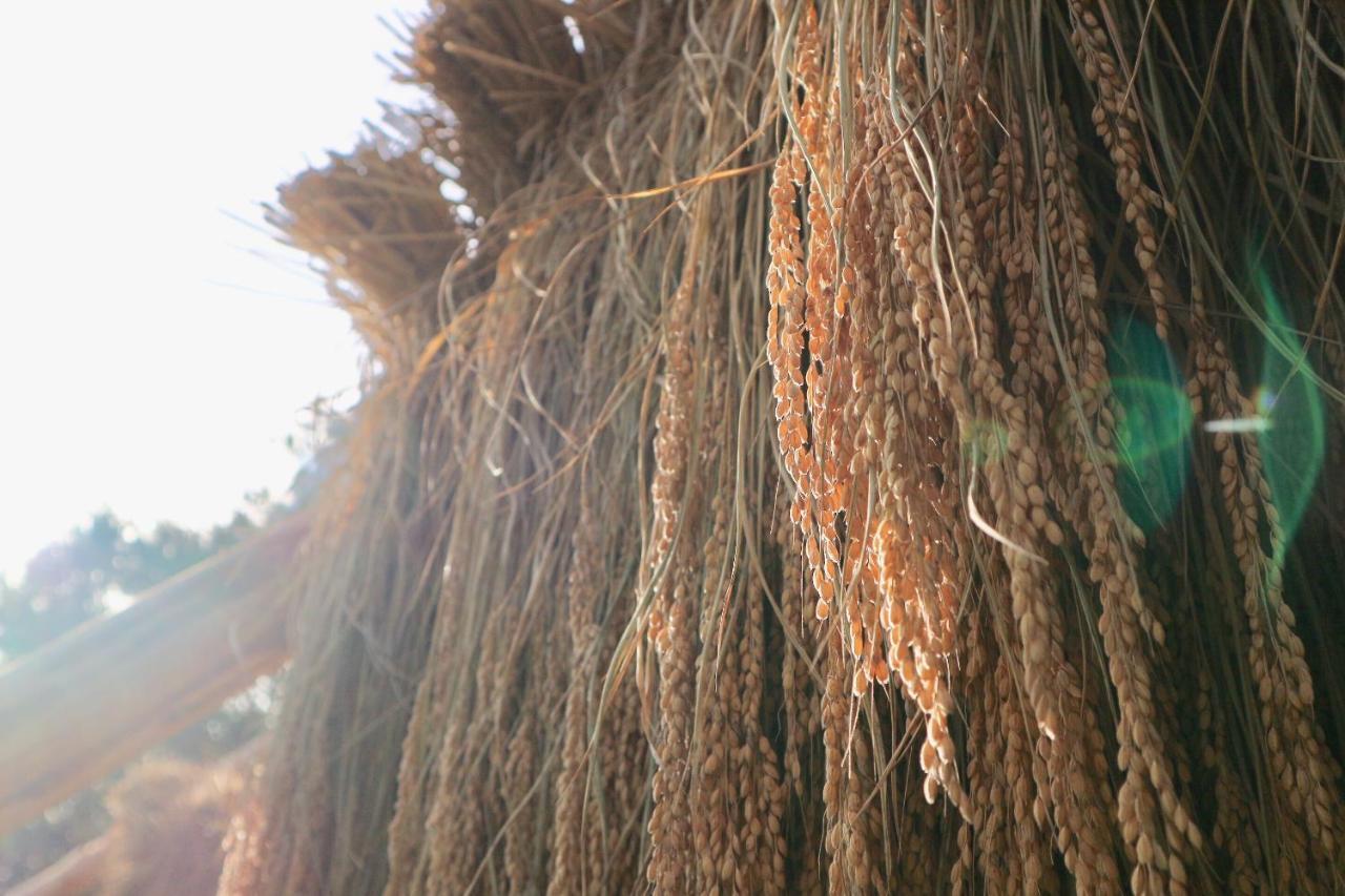 Bunanoyado Koase Aga Exterior foto